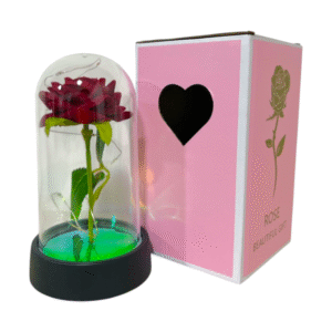 ROSA CUPULA CON LUZ MINI